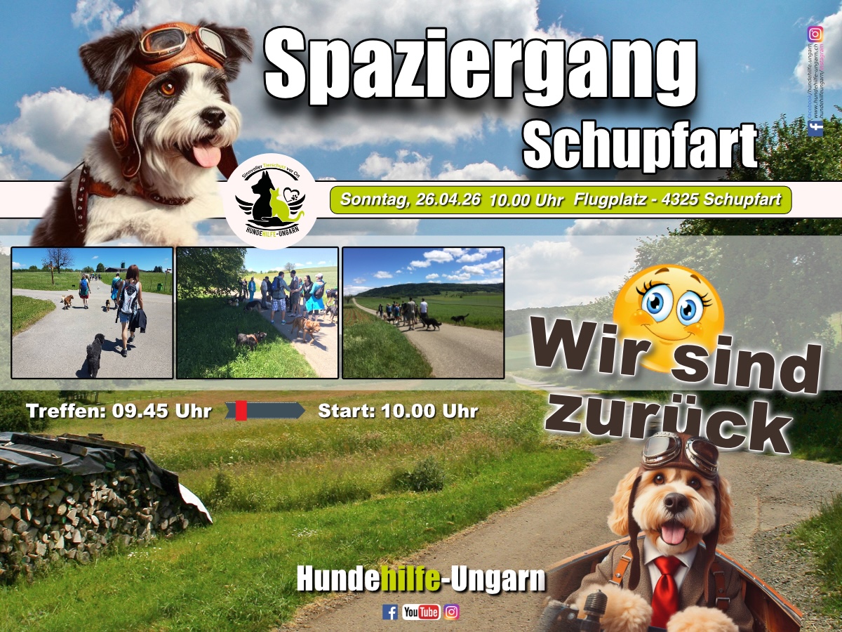 Status: Adoptantenspaziergang