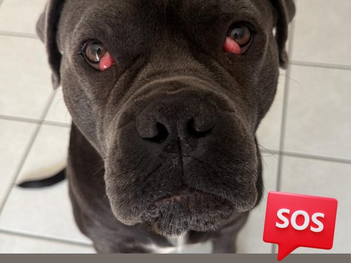 Status: SOS für Johnny
