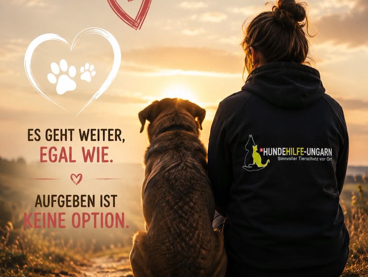 Status: Update zu unserer bevorstehenden Tierschutzreise
