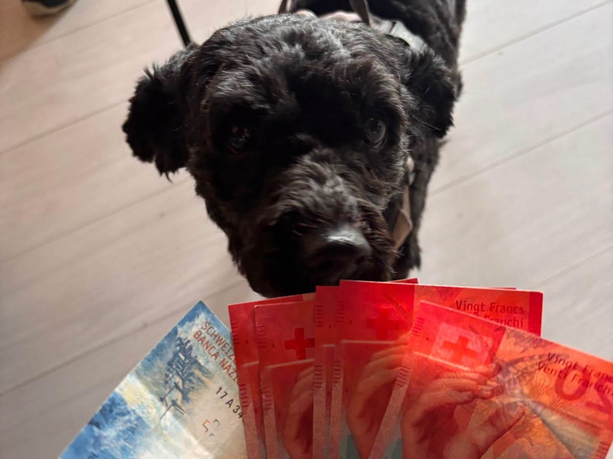 Status: 20 Hoffnungskilometer  geschenkt von Salsa