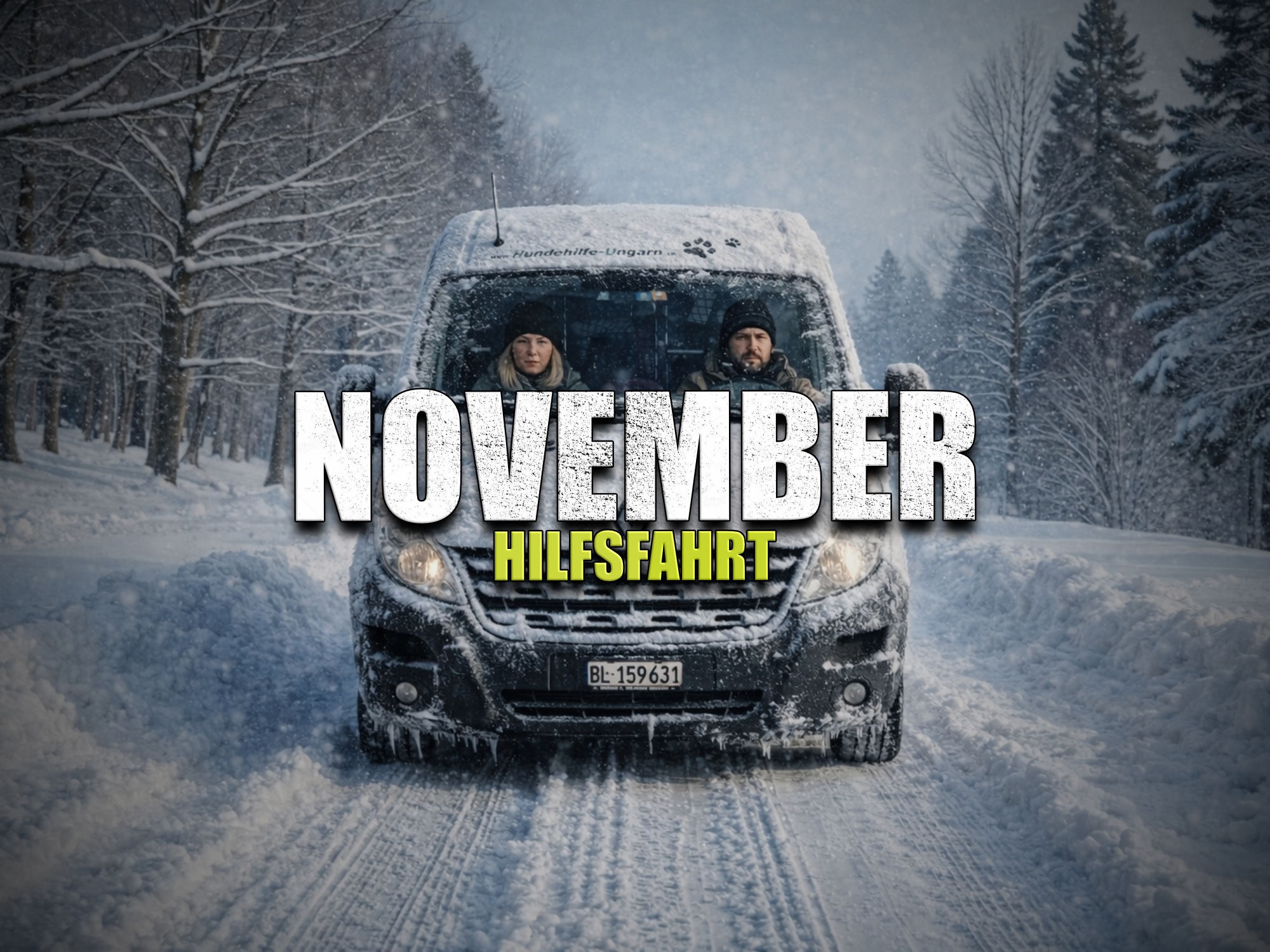 Status: 11. - 16. November 2026