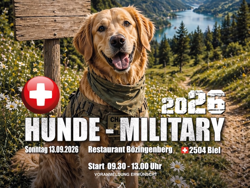 Military_2026_vorne_Kopie