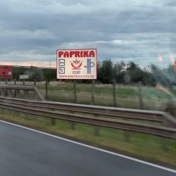 549207811 1239660848198892 n