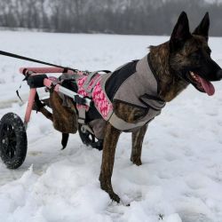 hilfsfahrt 2026 01 19