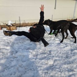 hilfsfahrt 2026 01 19