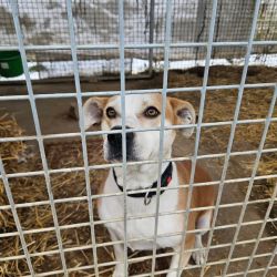 hilfsfahrt 2026 01 19