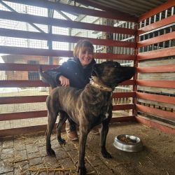 hilfsfahrt 2026 01 19