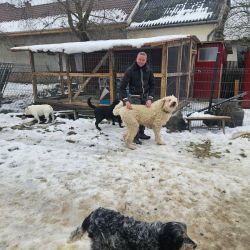 hilfsfahrt 2026 01 19