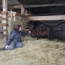 hilfsfahrt 2026 01 19