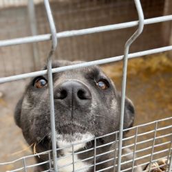 hilfsfahrt 2026 01 19