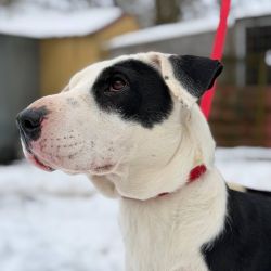 hilfsfahrt 2026 01 19