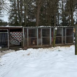 hilfsfahrt 2026 01 19