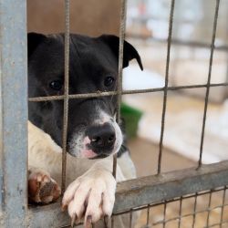 hilfsfahrt 2026 01 19