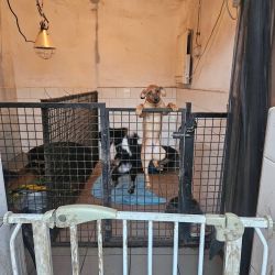 hilfsfahrt 2026 01 19