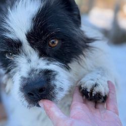 hilfsfahrt 2026 01 19