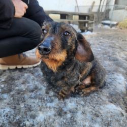 hilfsfahrt 2026 01 19