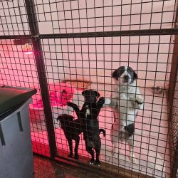 hilfsfahrt 2026 01 19