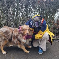 hilfsfahrt 2026 01 19