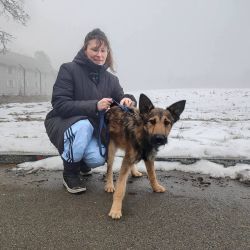 hilfsfahrt 2026 01 19