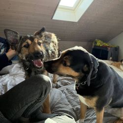 hilfsfahrt 2026 01 19