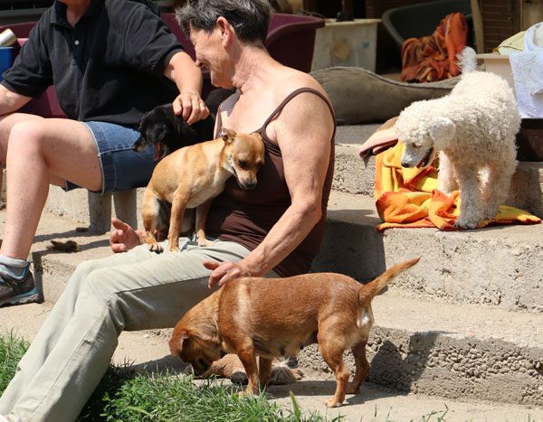 Status: Mai Nagyatad 2018