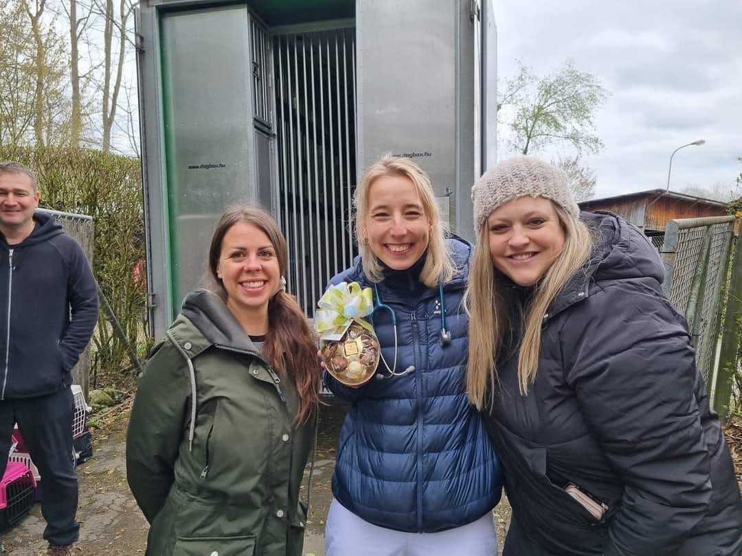 Status: 03. April 2023