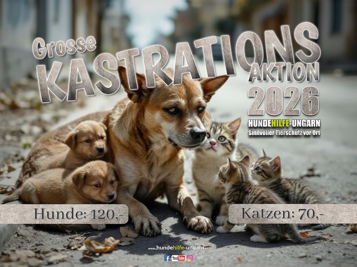 Status: Kastrationsaktion 2026