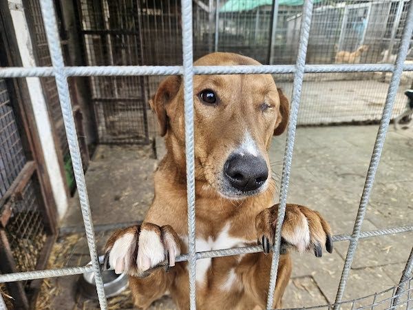 Status: 13.-21. Juli 2025