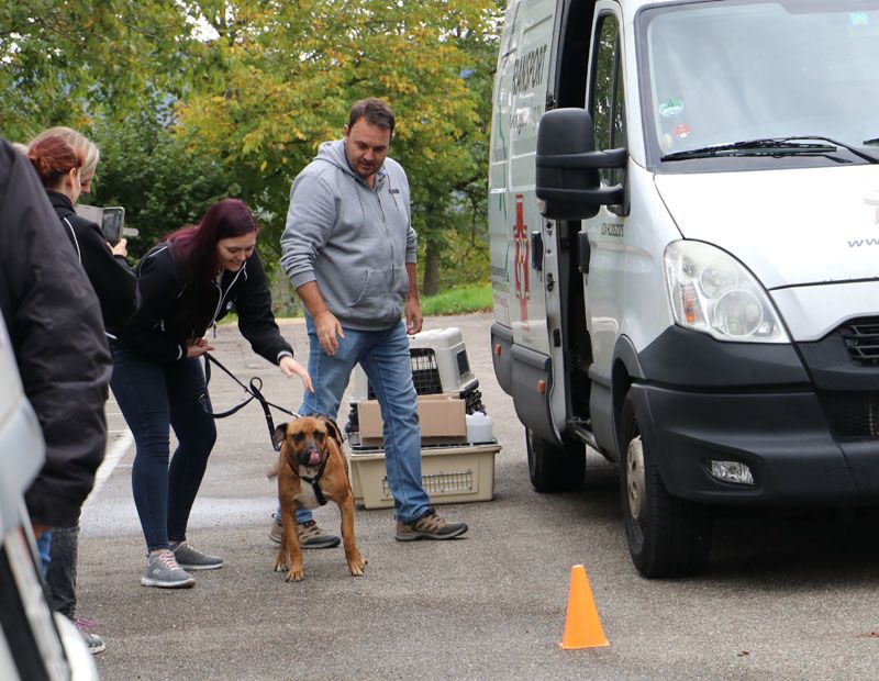 Status: Oktober 2020