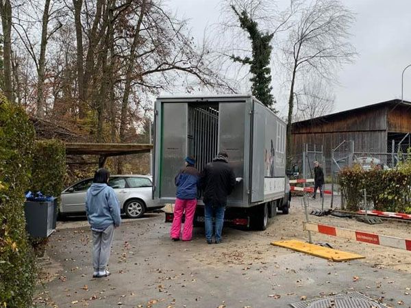 Status: November 2021