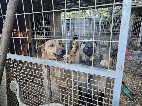 Status: 01.-05. November 2024