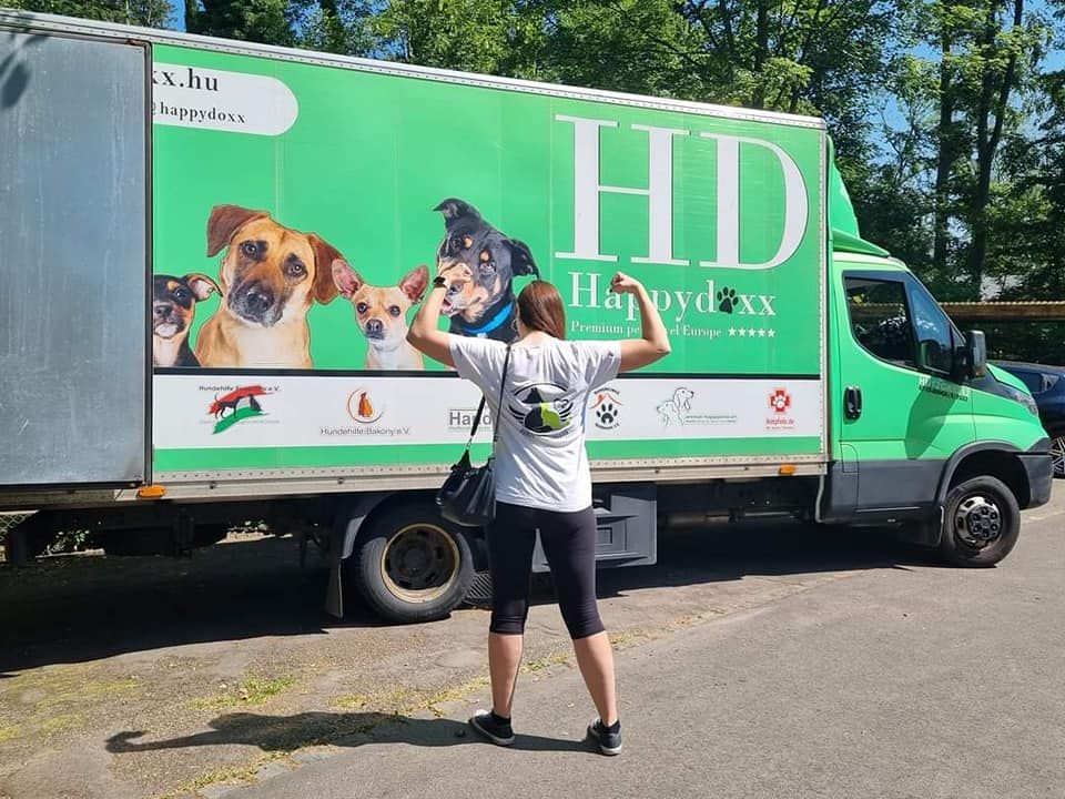 Status: 12. Juni 2023