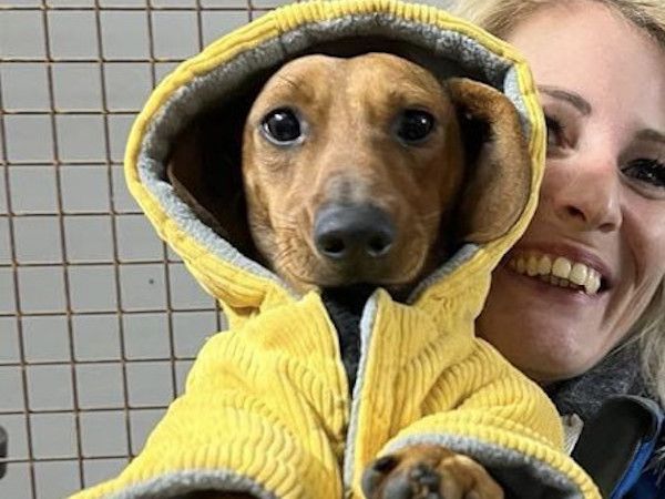 Status: 02.-07. Januar 2025