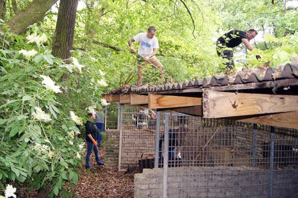 Status: Grosseinsatz 24.5.-31.5. 2017