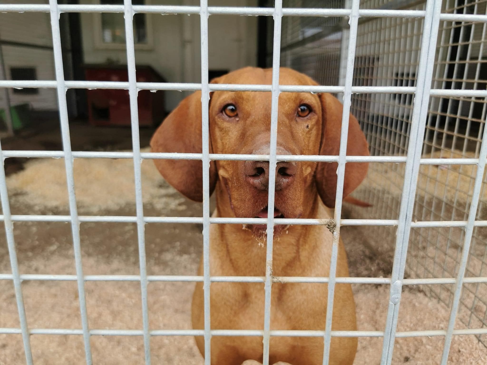 Status: 14. November 2022