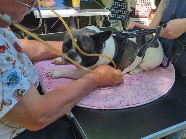 Status: 13. Juni 2022