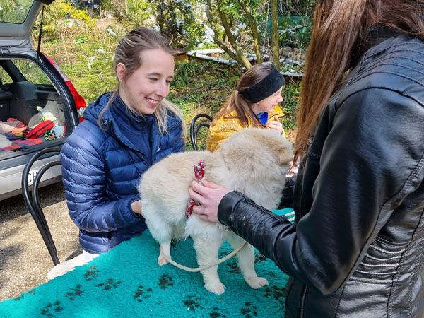 Status: 4. April 2022