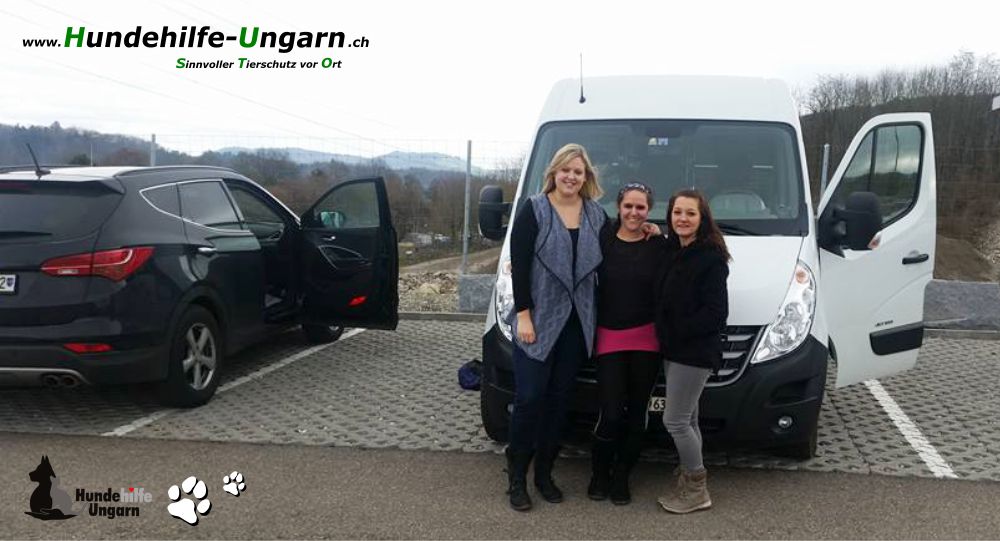 Status: Februar 2016